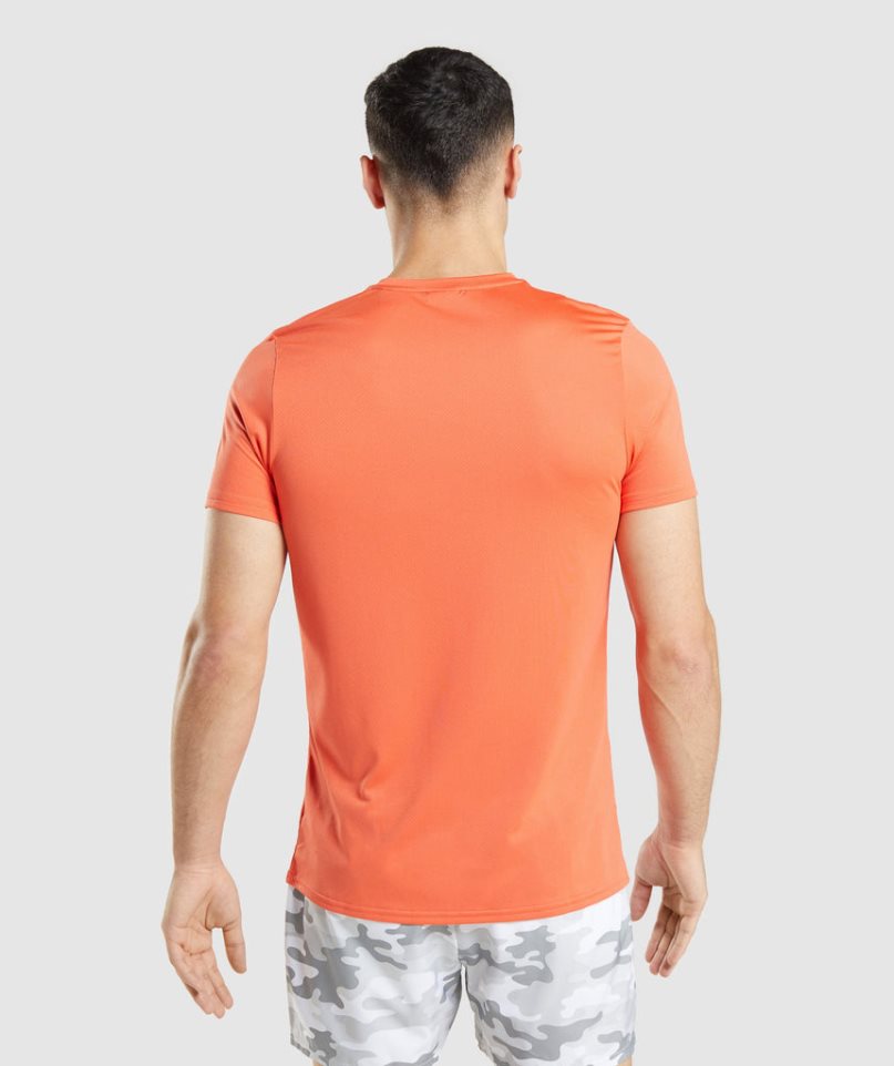 Men's Gymshark Arrival Graphic T-Shirts Orange | CA A87N05